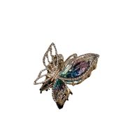 Moda Mariposa Aleación Embutido Diamantes De Imitación Garras De Pelo 1 Pieza main image 4