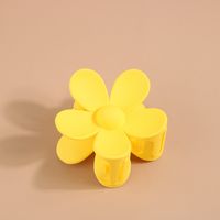 Flower Acrylic Frosted Barrettes Simple Keel Grip Set sku image 59