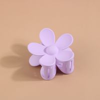 Flower Acrylic Frosted Barrettes Simple Keel Grip Set sku image 63