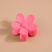 Flower Acrylic Frosted Barrettes Simple Keel Grip Set sku image 61
