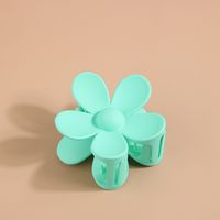 Flower Acrylic Frosted Barrettes Simple Keel Grip Set sku image 58