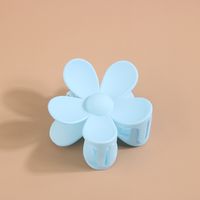 Flower Acrylic Frosted Barrettes Simple Keel Grip Set sku image 62