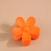 Flower Acrylic Frosted Barrettes Simple Keel Grip Set sku image 60