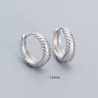 1 Pair Simple Style Twist Sterling Silver Plating Hoop Earrings sku image 5