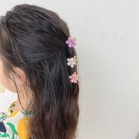 Simple Style Flower Alloy Hair Clip 1 Piece main image 5