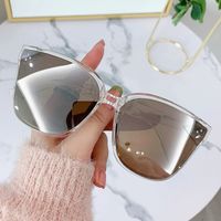 New Trendy Style Folding Sunglasses Uv Protection Unisex main image 1