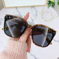 New Trendy Style Folding Sunglasses Uv Protection Unisex main image 2