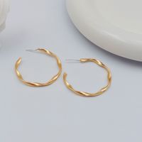 1 Pair Simple Style Circle Flower Plating Iron Ear Studs main image 3