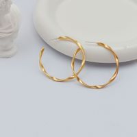 1 Pair Simple Style Circle Flower Plating Iron Ear Studs main image 9