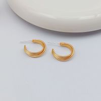 1 Pair Simple Style Circle Flower Plating Iron Ear Studs main image 6