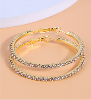 1 Pair Simple Style Circle Alloy Inlay Rhinestones Women's Hoop Earrings main image 4