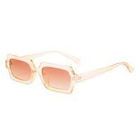 Fashion Solid Color Leopard Pc Square Full Frame Women's Sunglasses sku image 4