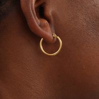 1 Pair Simple Style Circle Plating Stainless Steel 18K Gold Plated Hoop Earrings sku image 1