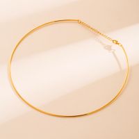 Ins Style Round Stainless Steel Polishing Plating 18k Gold Plated Choker main image 3