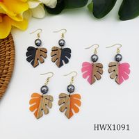 1 Pair Simple Style Leaf Wood Women's Drop Earrings main image 4