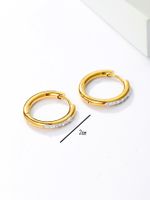 1 Pair Cool Style Circle Plating Inlay Stainless Steel Rhinestones 18K Gold Plated Hoop Earrings main image 4