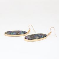 1 Pair Retro Oval Leopard Alloy Straw Inlay Pu Turquoise Shell Women's Drop Earrings main image 2