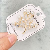 Luxurious Flower Alloy Inlay Artificial Pearls Rhinestones Women's Brooches main image 4