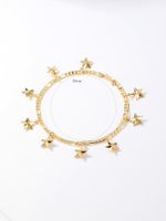 Casual Tortoise Star Dolphin 18k Gold Plated Copper Wholesale Anklet main image 5