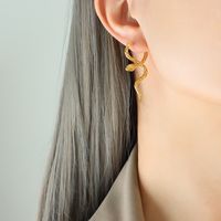 1 Pair Ins Style Snake Titanium Steel Plating 18k Gold Plated Earrings sku image 1