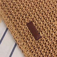 Women's Small Spring&summer Straw Solid Color Vacation Square Zipper Straw Bag main image 4