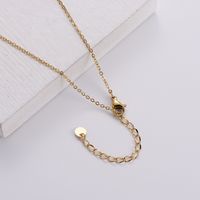 Wholesale Cute Multicolor Stainless Steel 18k Gold Plated Zircon Necklace main image 6