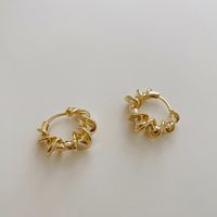 1 Pair Simple Style Geometric Metal Plating Women's Earrings sku image 1