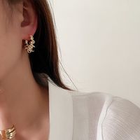 1 Pair Simple Style Geometric Metal Plating Women's Earrings main image 4