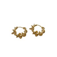 1 Pair Simple Style Geometric Metal Plating Women's Earrings main image 6