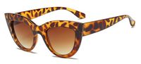 Retro Women's Sunglasses sku image 7