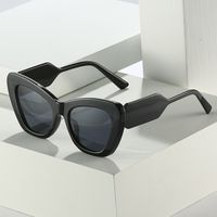 Retro Geometric Ac Cat Eye Full Frame Men's Sunglasses main image 3