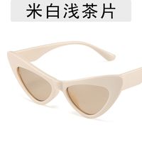 Retro Geometric Ac Cat Eye Full Frame Women's Sunglasses sku image 11