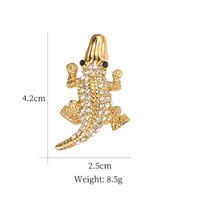 Style Simple Animal Alliage Incruster Strass Perle Unisexe Broches main image 5