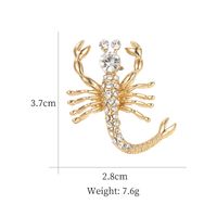 Style Simple Animal Alliage Incruster Strass Perle Unisexe Broches main image 3