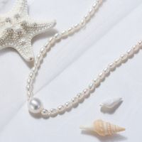 1 Piece Simple Style Solid Color Freshwater Pearl Sterling Silver Beaded Plating Necklace main image 1