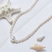 1 Piece Simple Style Solid Color Freshwater Pearl Sterling Silver Beaded Plating Necklace main image 5