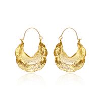 1 Pair Simple Style Leaf Solid Color Plating Zinc Alloy Earrings main image 4