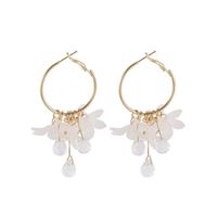 Wholesale Jewelry 1 Pair Exaggerated Flower Alloy Drop Earrings main image 4
