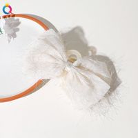 Style Simple Fleur Chiffon Griffes De Cheveux 1 Pièce sku image 1