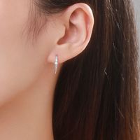 1 Pair Simple Style Solid Color Sterling Silver Plating Inlay Zircon Rose Gold Plated Rhodium Plated Earrings main image 4