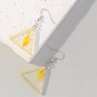 Wholesale Jewelry 1 Pair Korean Style Triangle Leaves Arylic Drop Earrings main image 5