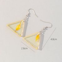Wholesale Jewelry 1 Pair Korean Style Triangle Leaves Arylic Drop Earrings main image 4