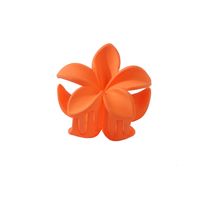 Women's Lady Sweet Flower Plastic Stoving Varnish Hair Claws sku image 6