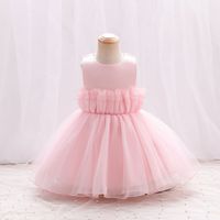 Princesa Color Sólido Cordón Poliéster Vestidos Para Niñas sku image 3