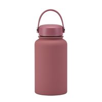 Casual Solid Color Stainless Steel Water Bottles sku image 6