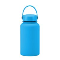 Casual Solid Color Stainless Steel Water Bottles sku image 23