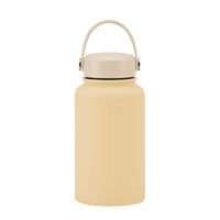 Casual Solid Color Stainless Steel Water Bottles sku image 4