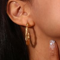 1 Pair Ins Style C Shape Bamboo Joint Plating Stainless Steel 18k Gold Plated Ear Studs main image 5