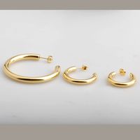 1 Paire Style Simple Forme C Placage Acier Au Titane Plaqué Or 18k Boucles D'oreilles main image 5