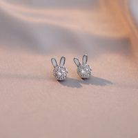 Cute Animal Titanium Steel Inlay Zircon Women's Rings Earrings Necklace main image 3